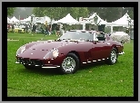 Zlot, Bordowe, Ferrari 275